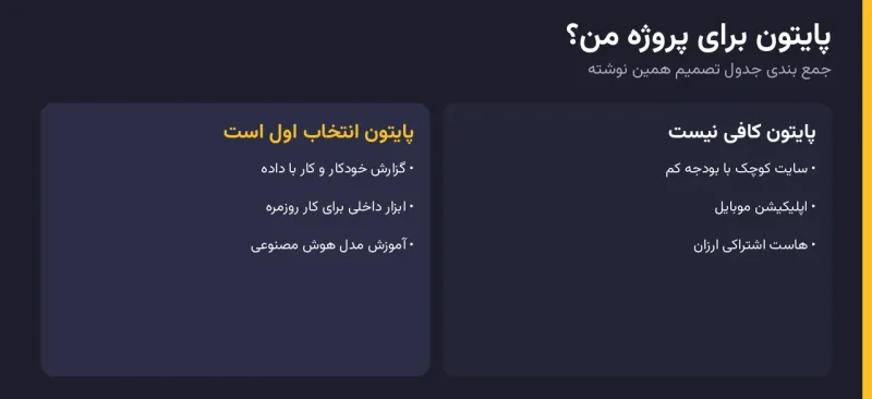 اینفوگرافیک تصمیم پایتون یا زبان دیگر