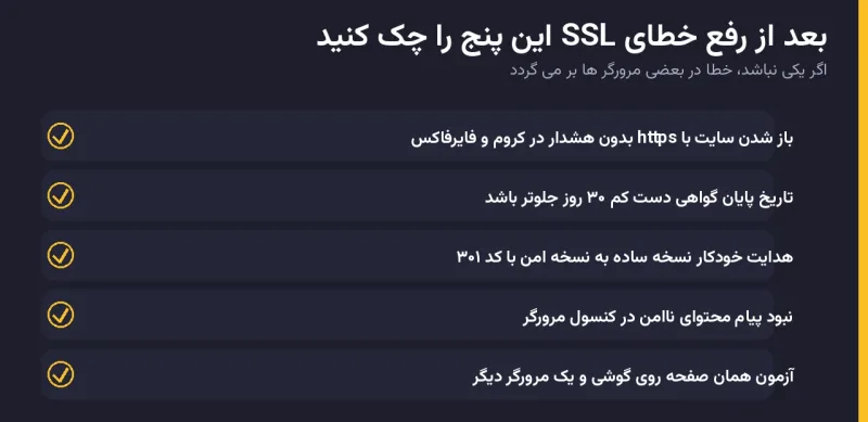 اینفوگرافیک پنج بررسی پس از رفع خطای SSL